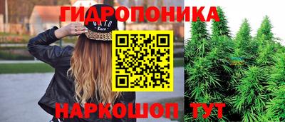 стафф Усть-Джегута