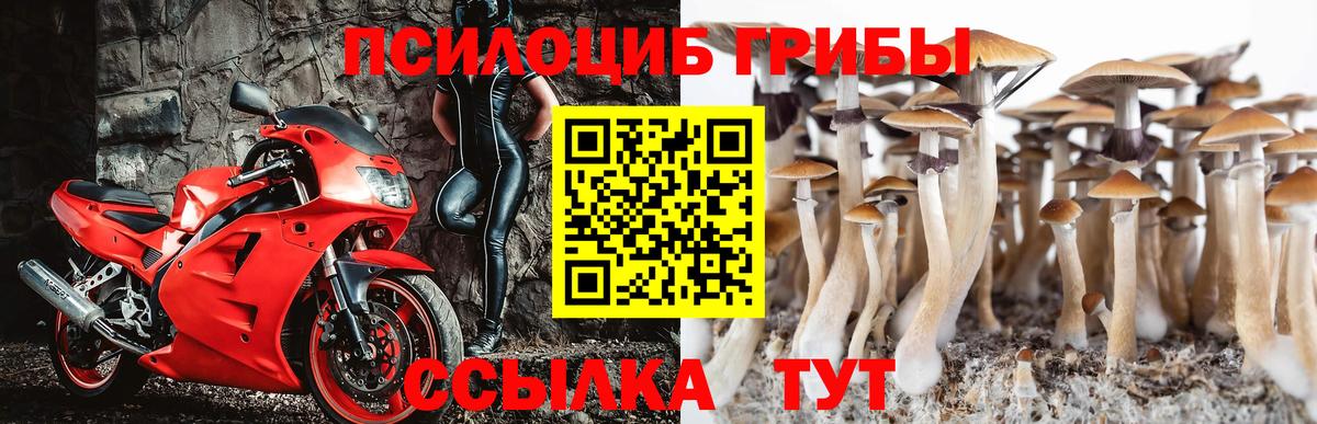 Ефремов  Псилоцибиновые грибы прущие грибы  Вход с VPN 